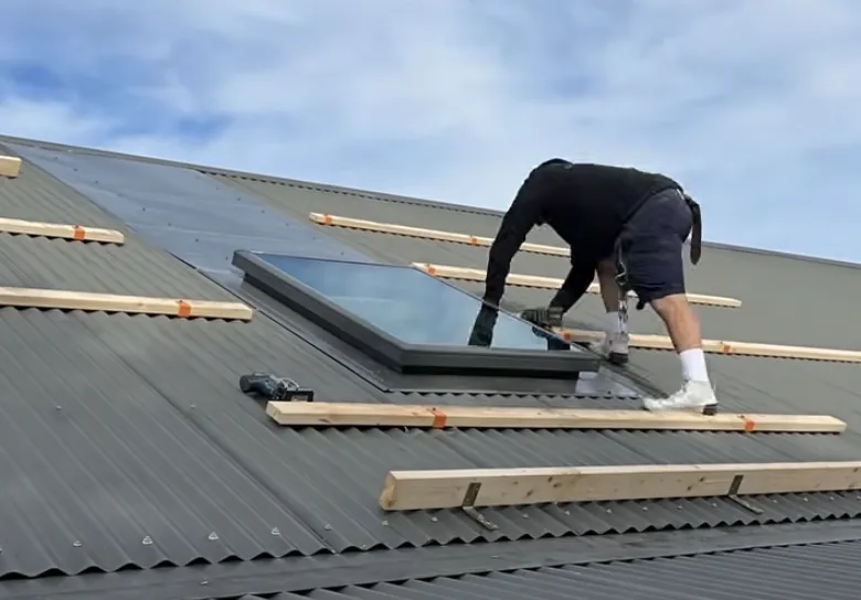 Velux & fenêtres de toit